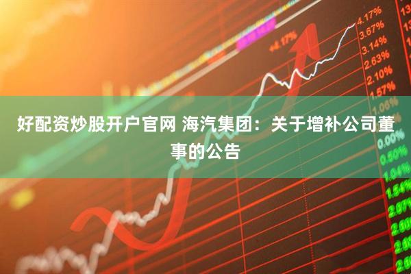 好配资炒股开户官网 海汽集团：关于增补公司董事的公告